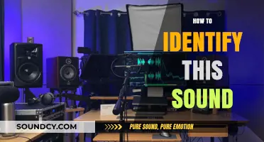 Mastering Sound Identification: Tips to Recognize and Classify Any Noise