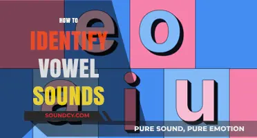 Mastering Phonetics: A Simple Guide to Identifying Vowel Sounds