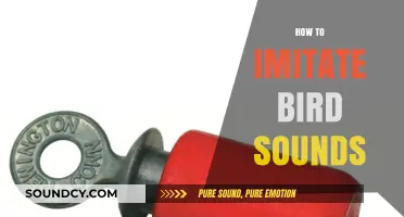 Mastering Bird Calls: Techniques to Imitate Nature's Melodies Perfectly