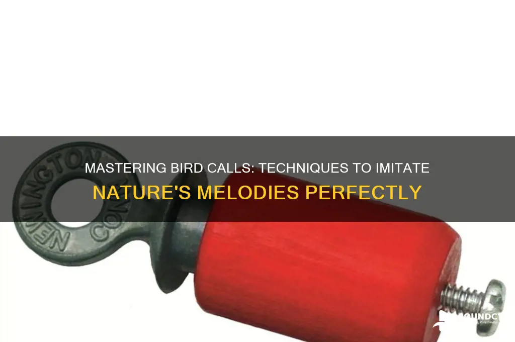 how to imitate bird sounds