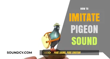 Master the Art of Mimicking Pigeon Coos: A Step-by-Step Guide