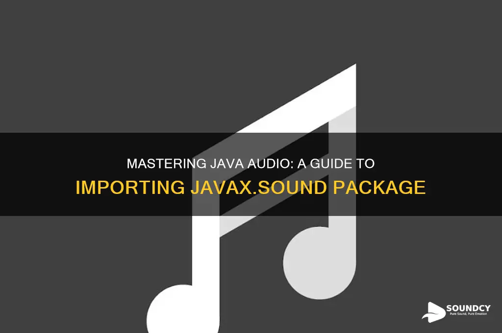 how to import javax sound