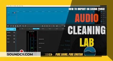 Mastering Audio Cleaning: Importing Files into Sound Forge Audio Lab