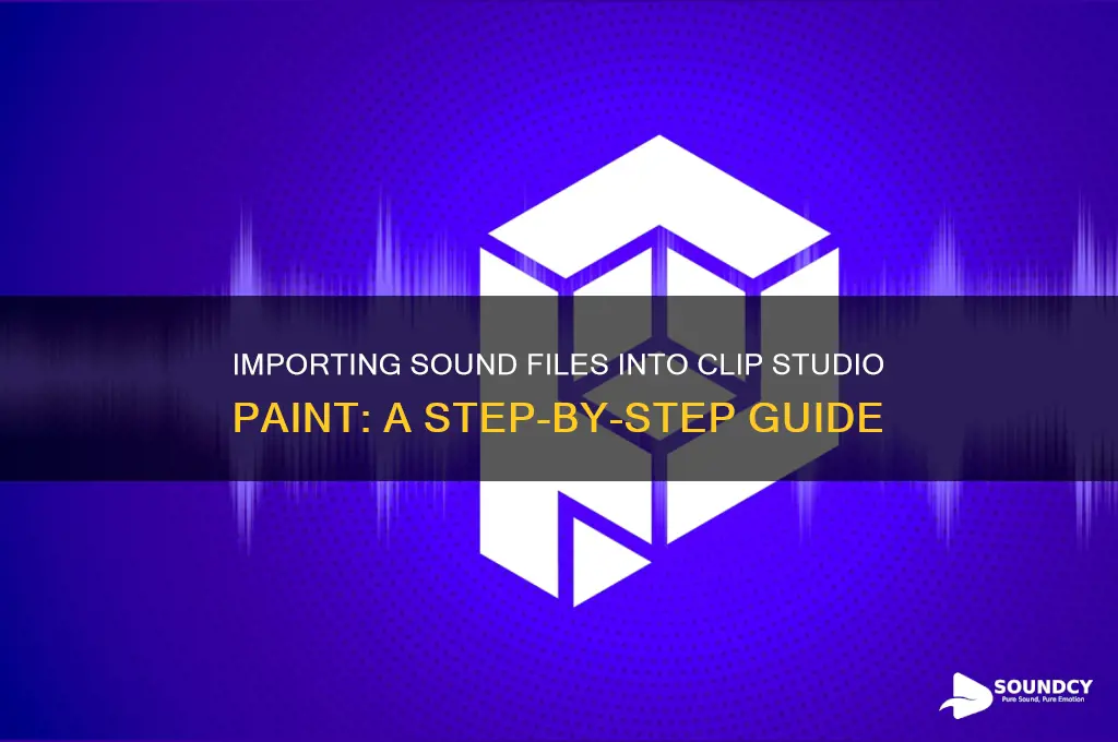 how to import sound files into clip studio paint