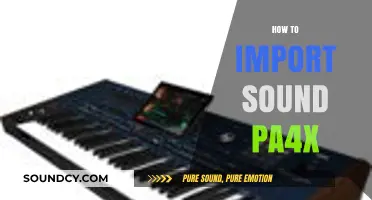 Mastering PA4X: Step-by-Step Guide to Importing Sound Files Easily