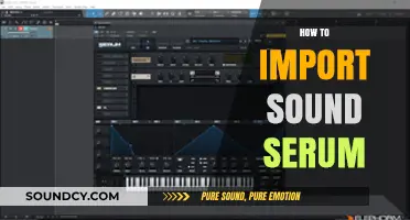 Mastering Sound Design: A Step-by-Step Guide to Importing Serum Presets