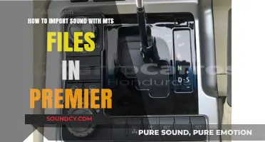 Importing Audio from MTS Files in Premiere Pro: A Step-by-Step Guide