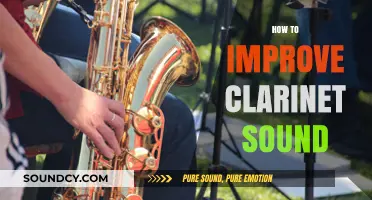 Master Your Clarinet Tone: Essential Tips for Richer, Clearer Sound