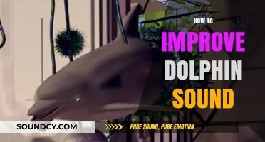 Enhance Dolphin Communication: Techniques to Improve Their Unique Sound