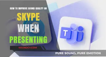 Enhance Your Skype Presentations: Tips for Crystal-Clear Audio Quality