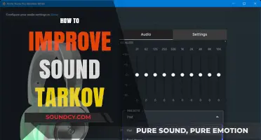 Enhance Your Escape from Tarkov Experience: Mastering In-Game Audio