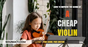 Enhance Your Budget Violin's Tone: Simple Sound Improvement Tips