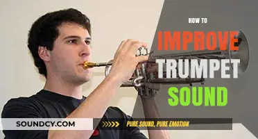 Mastering Your Trumpet Tone: Essential Tips for a Richer Sound