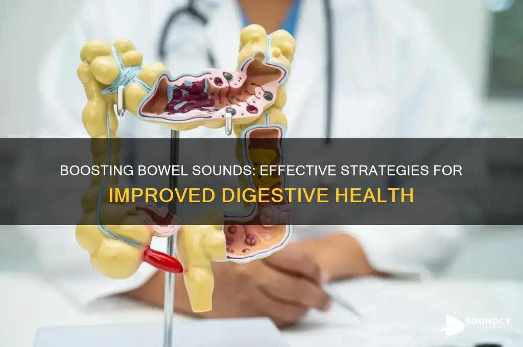 how to increase bowel sounds