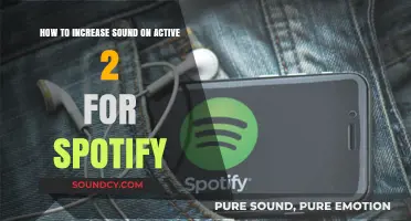 Boost Your Spotify Volume: Enhancing Sound on Active 2 Speakers