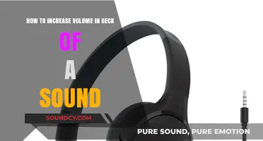 Boost Your Gecko's Sound Volume: Simple Tips for Clearer Audio