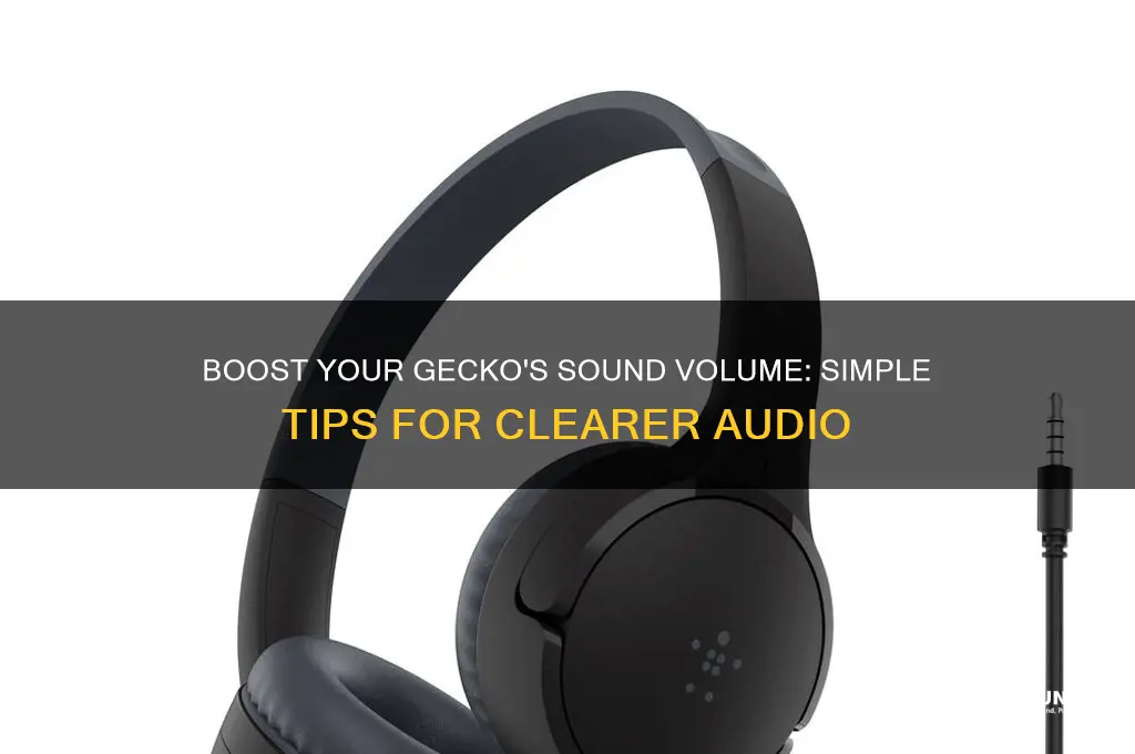 how to increase volume in geck of a sound