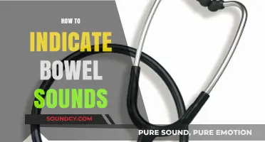 Mastering Auscultation: Effective Techniques to Indicate and Assess Bowel Sounds