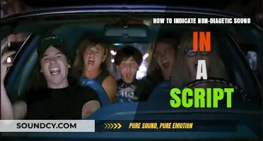 Mastering Scriptwriting: Techniques to Indicate Non-Diegetic Sound Clearly