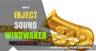 Mastering Wind Instrument Sound Injection Techniques for Richer Music Production