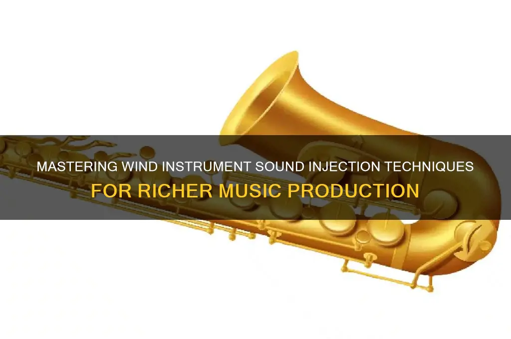 how to inject sound windwaker