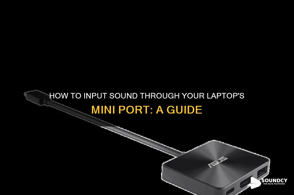 how to input sound through mini port on laptop