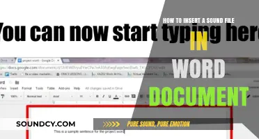 Adding Audio to Your Word Document: A Step-by-Step Sound File Guide