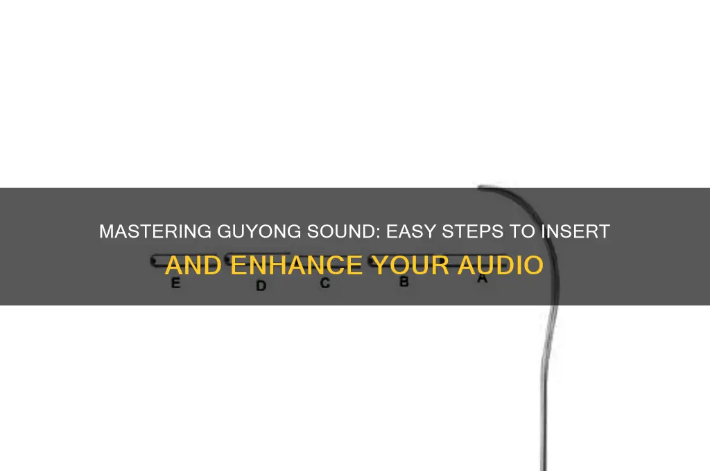 how to insert guyong sound