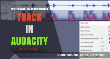 Mastering Audacity: Inserting Silent Gaps Between Tracks Effortlessly