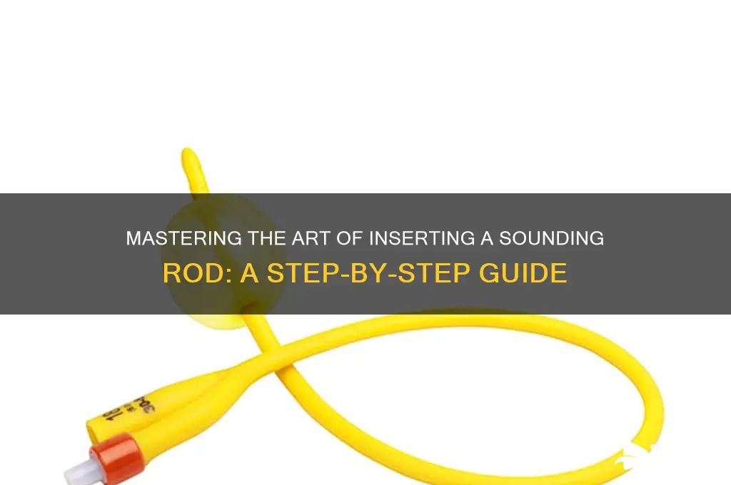 how to insert sounding rod