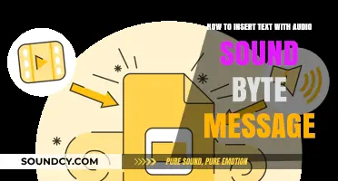 Inserting Text with Audio Sound Bytes: A Step-by-Step Guide