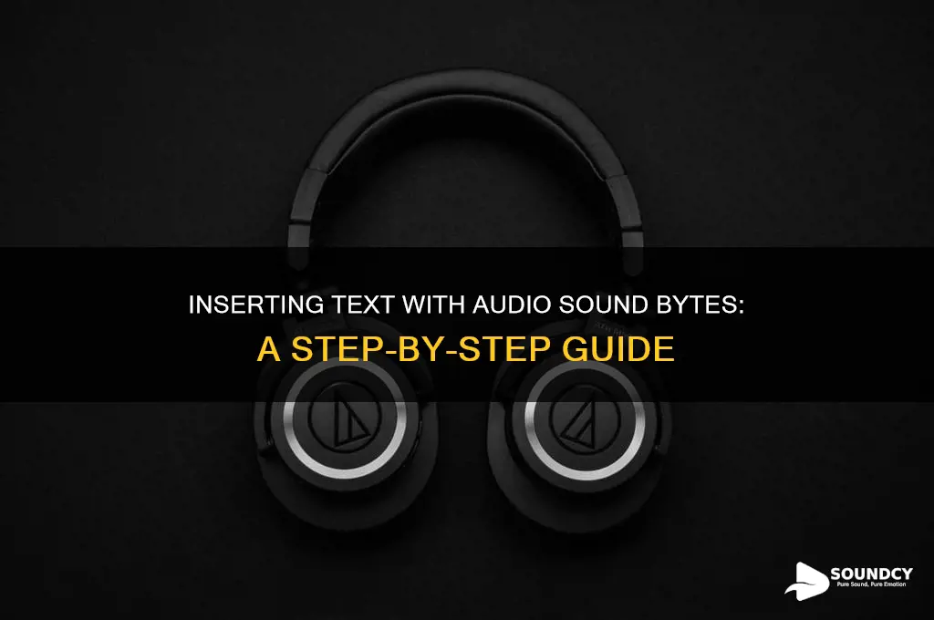 how to insert text with audio sound byte message