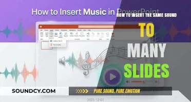 Efficiently Add Consistent Audio Across Multiple Slides in PowerPoint