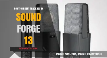 Inserting Track IDs in Sound Forge 13: A Step-by-Step Guide