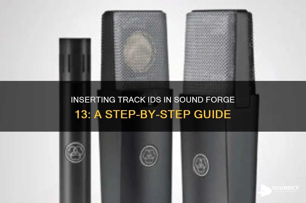 how to insert track ids in sound forge 13