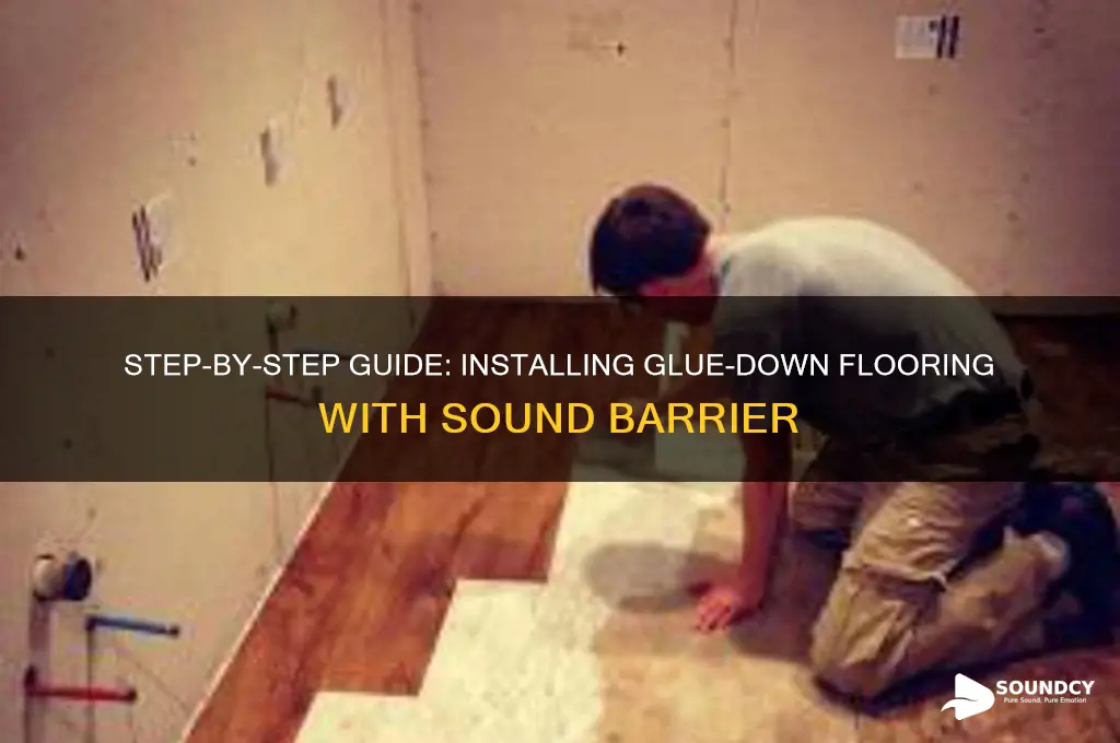 how to install glue down flooring with sound barrier