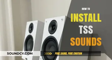Step-by-Step Guide: Installing TSS Sounds for Enhanced Audio Experience