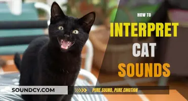 Decoding Meows: A Comprehensive Guide to Understanding Cat Sounds