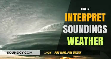Mastering Sounding Interpretation: Decoding Weather Patterns for Accurate Forecasts