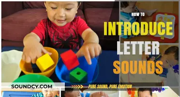 Mastering Phonics: Fun and Effective Ways to Introduce Letter Sounds