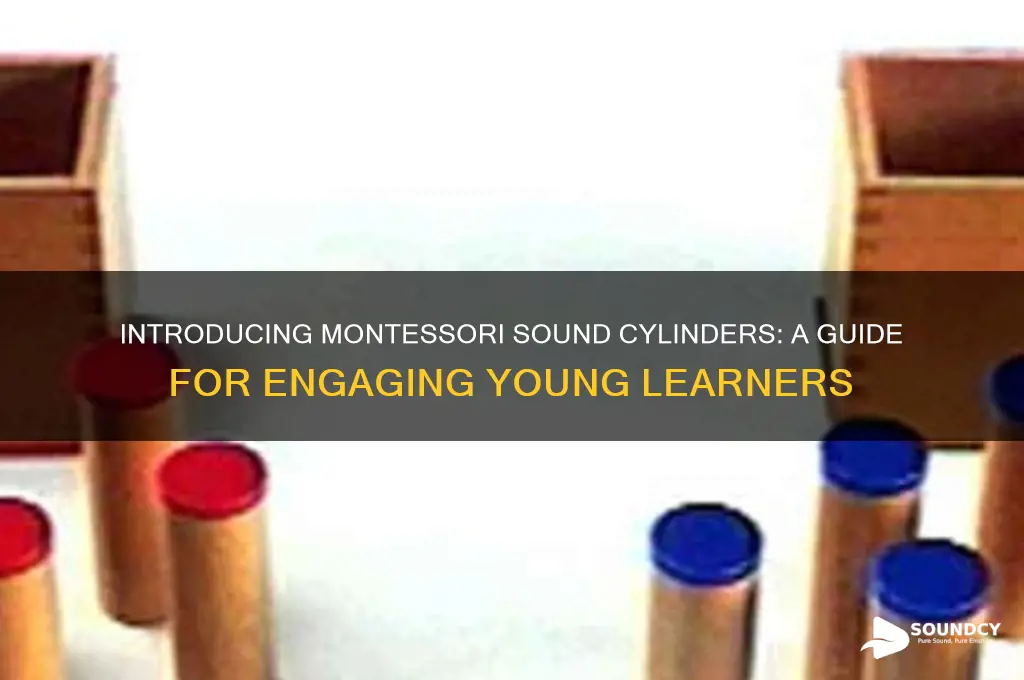 how to introduce montessori sound poaches to a child