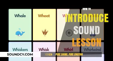 Engaging Strategies to Introduce Sound Lessons in Music Education