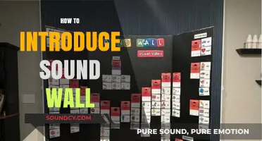 Effective Strategies for Introducing Sound Walls in Your Classroom