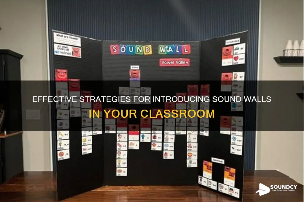 how to introduce sound wall