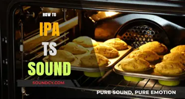 Mastering the IPA: Techniques to Perfect the 'ts' Sound in Speech