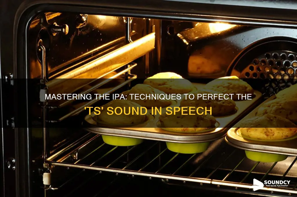 how to ipa ts sound