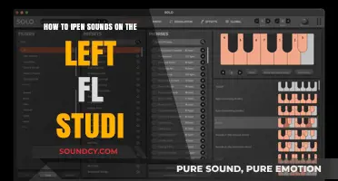 Mastering FL Studio: How to Open Sounds on the Left Panel