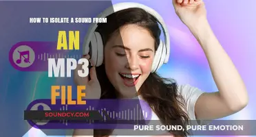 Mastering Audio Editing: How to Isolate a Sound from an MP3 File