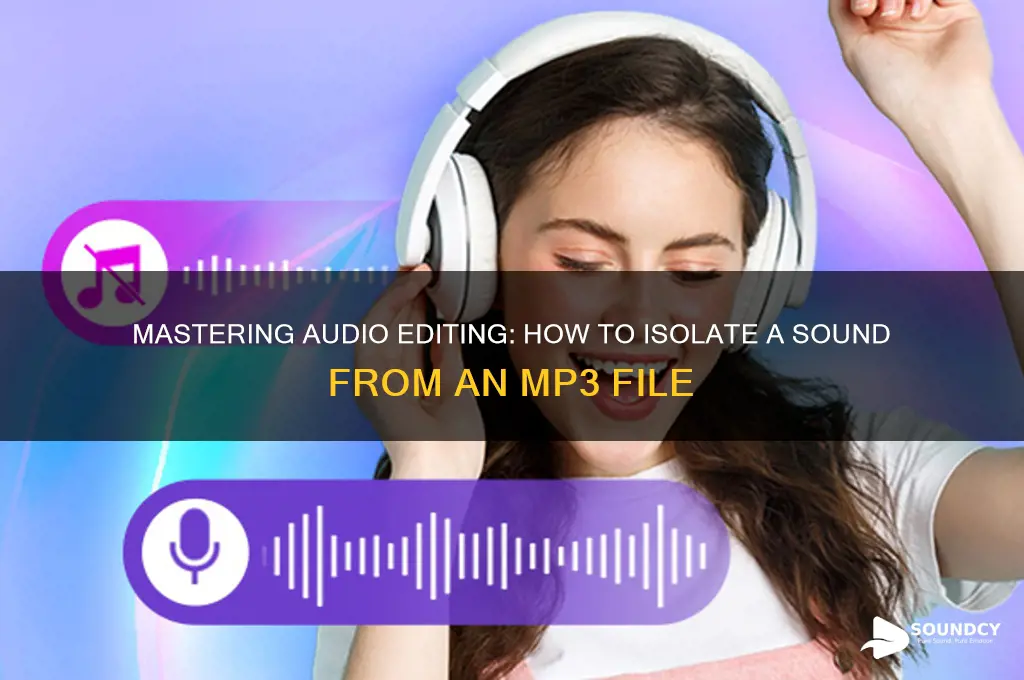 how to isolate a sound from an mp3 file