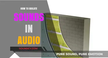 Extracting Audio: Isolating Sounds for Better Production